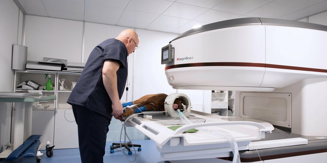 Shielding solutions for veterinary MRI diagnostic centers