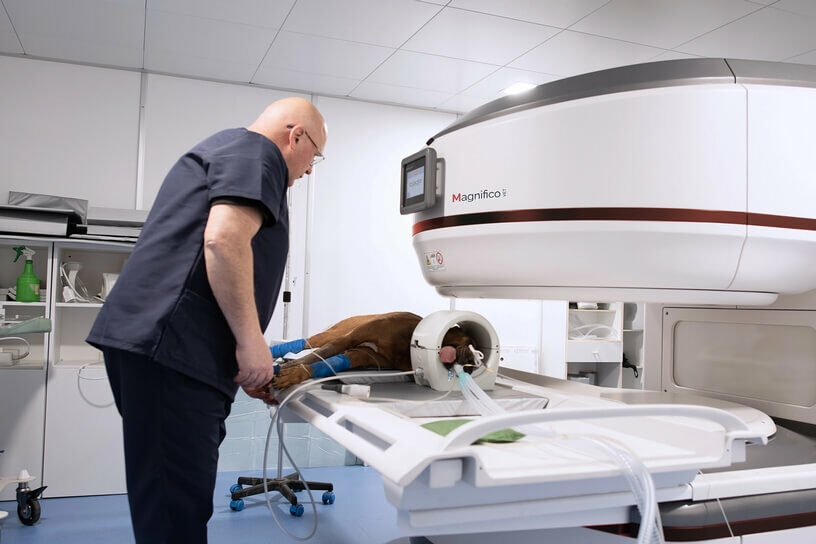Shielding solutions for veterinary MRI diagnostic centers